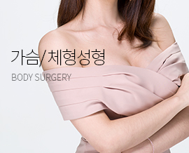 가슴성형/ 체형성형